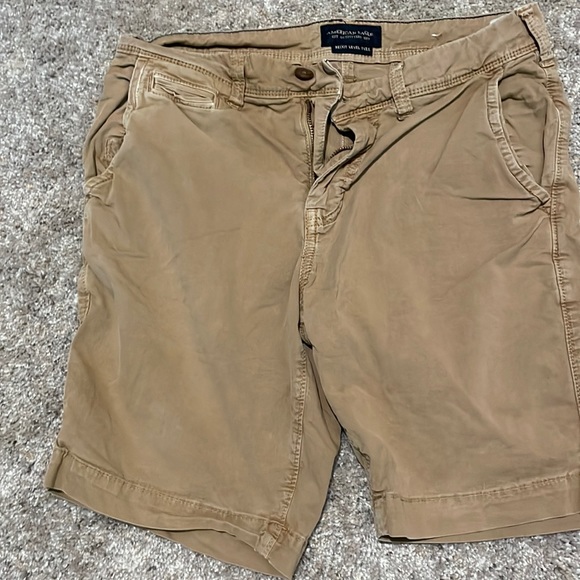 American Eagle Outfitters Other - American Eagle NE(X)T LEVEL FLEX Men’s Flat Front Shorts Sz 29